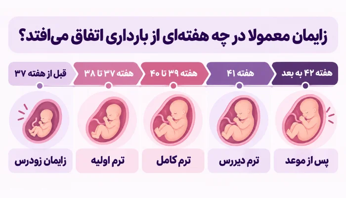 هفتههای مختلف بارداری و زمان احتمالی زایمان از هفته 37 تا بعد از هفته 42